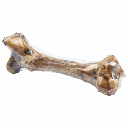 Giant Dog Bone - Grass-Fed Beef Femur Bone for Large Dogs - Image 6