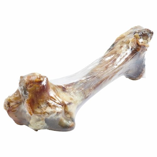 Giant Dog Bone - Grass-Fed Beef Femur Bone for Large Dogs - Image 7