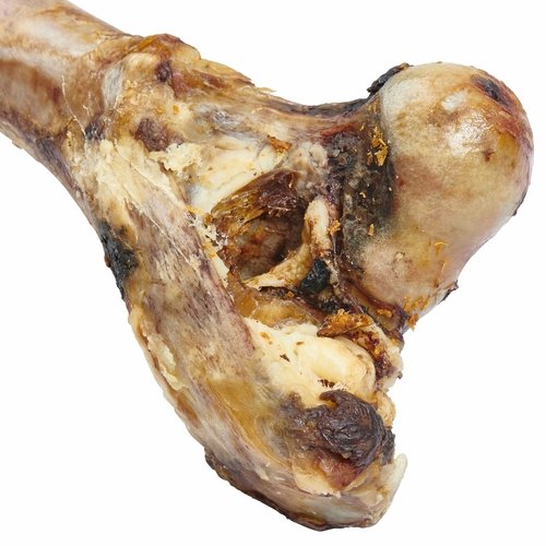 Giant Dog Bone - Grass-Fed Beef Femur Bone for Large Dogs - Image 2