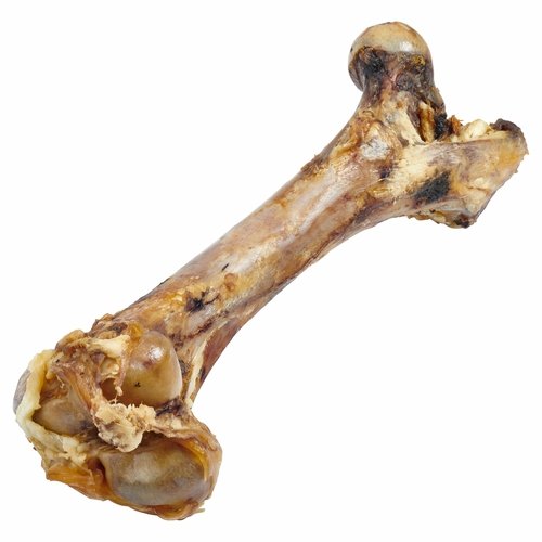 Giant Dog Bone - Grass-Fed Beef Femur Bone for Large Dogs - Image 4