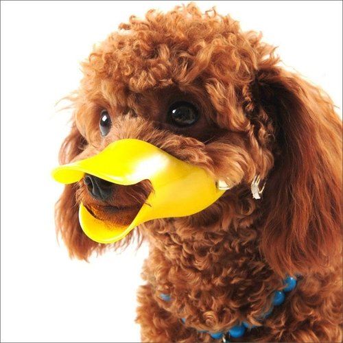 Anti-Bite Silicone Duck Muzzle - Image 4