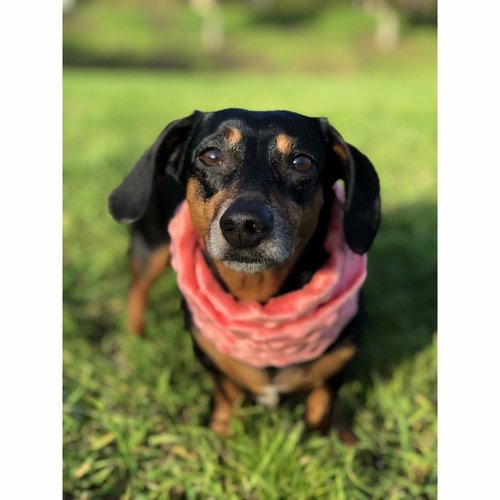 Hubba Hubba Scarf - Image 6