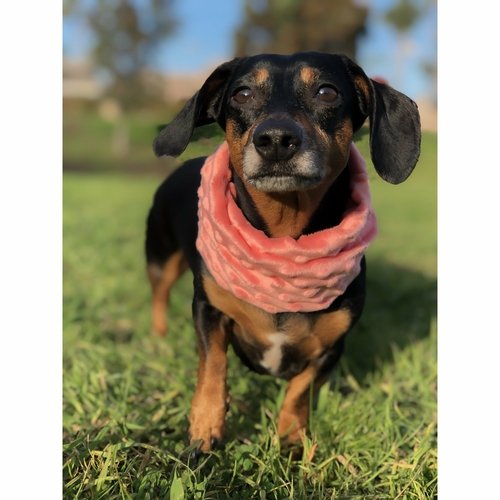 Hubba Hubba Scarf - Image 5