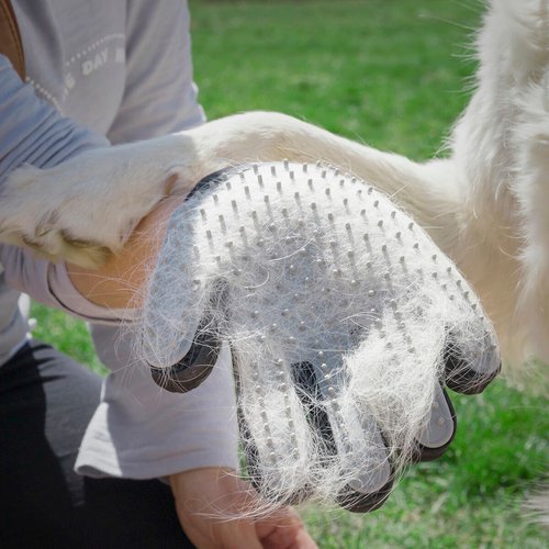 Pet Brush & Massage Glove Relpet InnovaGoods - Image 24