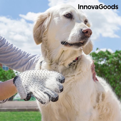 Pet Brush & Massage Glove Relpet InnovaGoods - Image 2