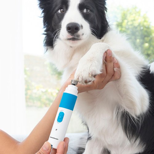 Rechargeable Pet Nail File Pawy InnovaGoods - Image 4