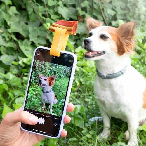 Selfie Clip for Pets Pefie InnovaGoods - Image 3