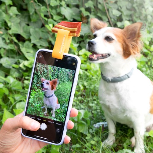 Selfie Clip for Pets Pefie InnovaGoods - Image 4
