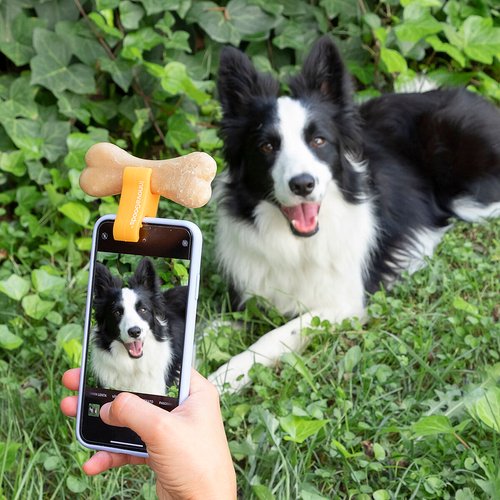 Selfie Clip for Pets Pefie InnovaGoods - Image 21