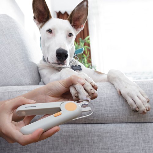 Pet Nail Clippers with LED Clipet InnovaGoods - Image 45