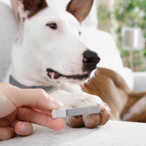Pet Nail Clippers with LED Clipet InnovaGoods - Image 37