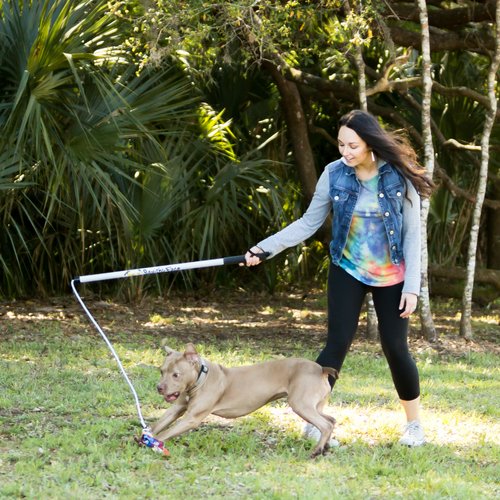 Squishy Face Studio Flirt Pole V2 Dog Exercise & Training Toy - Image 2