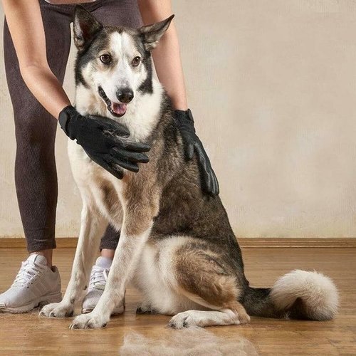 Fast Shipping 1 Pair Pet Grooming Gloves - Image 6