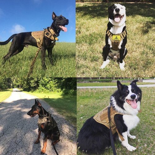 Fast Shipping Military Dog Tactical Harness and Leash Set - Image 5