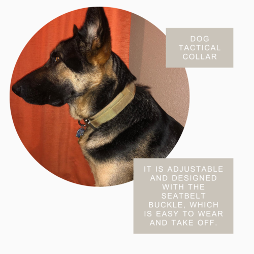 Fast Shipping Durable Military Tactical Dog Collar - Image 3