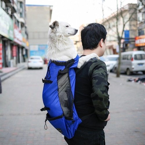 Double Shoulder Portable Pet Dog Carrier Backpack - Travel In Style - Image 5
