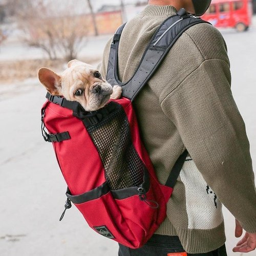 Double Shoulder Portable Pet Dog Carrier Backpack - Travel In Style - Image 2